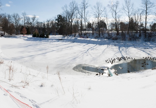 The Brookside Park pond January 14, 2018