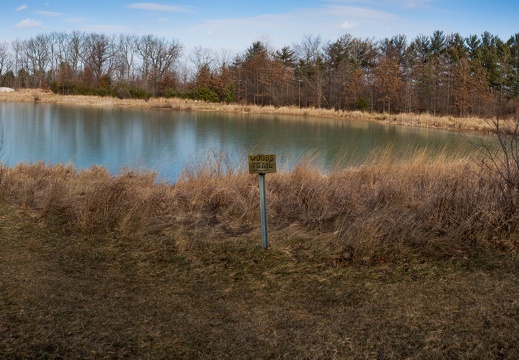 Pond panorama