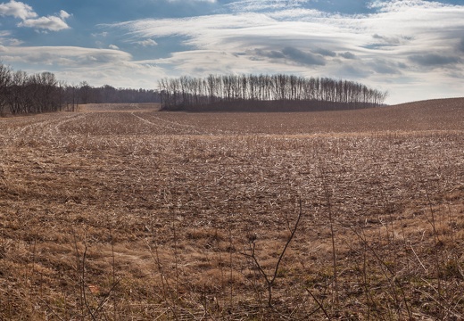 Fields in panorama